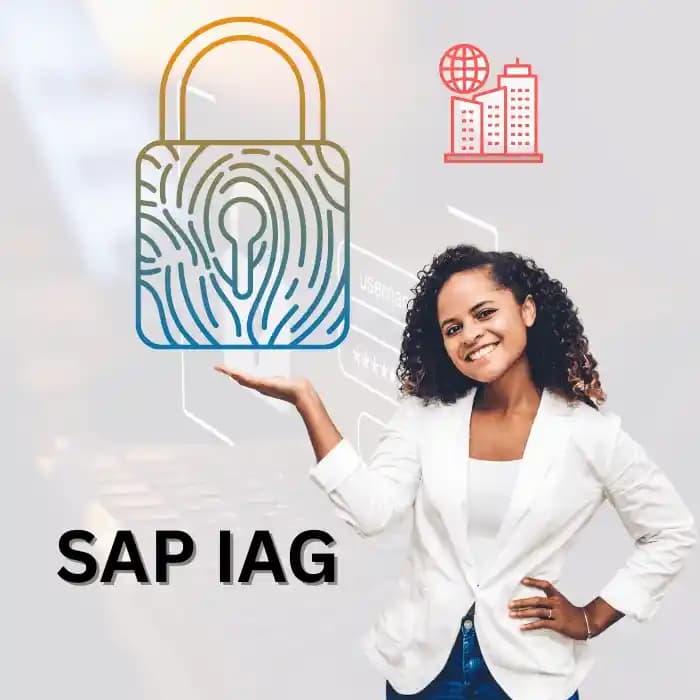 SAP IBP Training Course