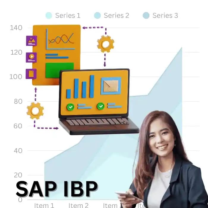SAP IBP Training Course