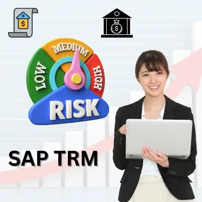 SAP IBP Training Course